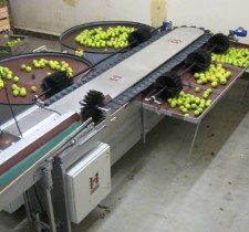 分選機稱重傳感器