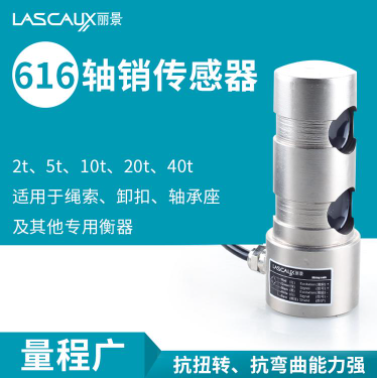 麗景616軸銷傳感器