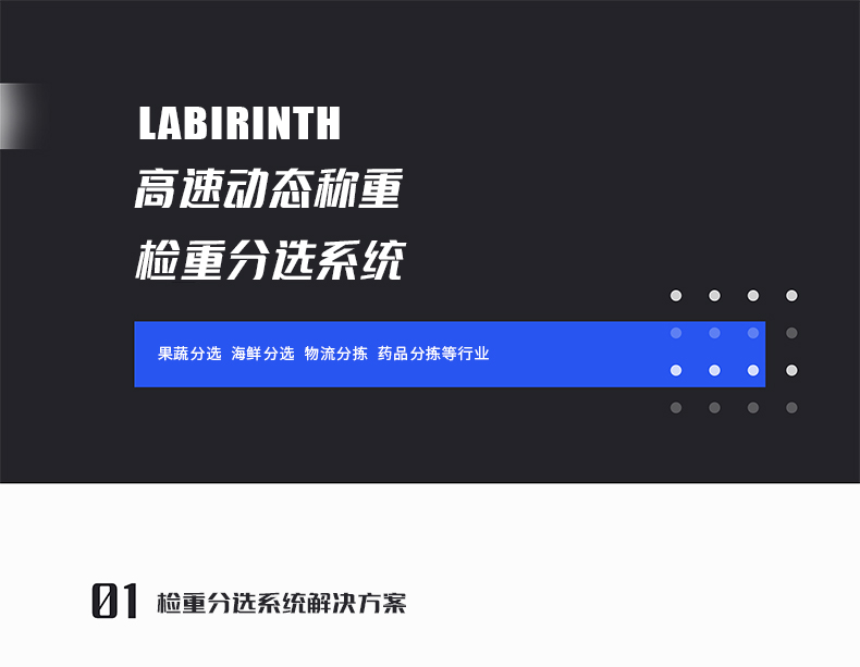 檢重分選系統(tǒng)